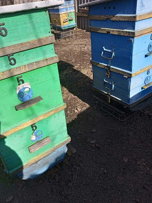 Продаються бджолині, двукорпусні вулики, на 10 рамок  системи "Дадан"