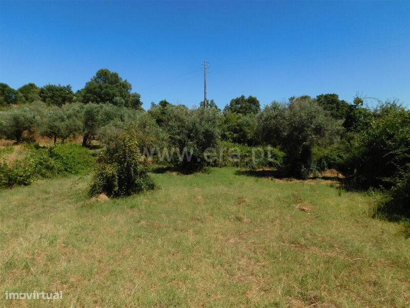 Terreno Rústico / Fundão, Capinha