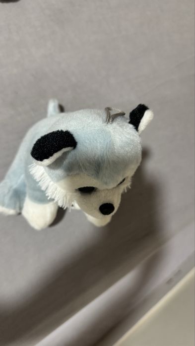 Peluche husky siberiano