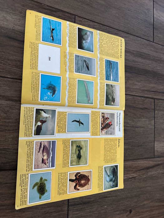 Album Naklejki Panini WWF Strumień • OLX.pl