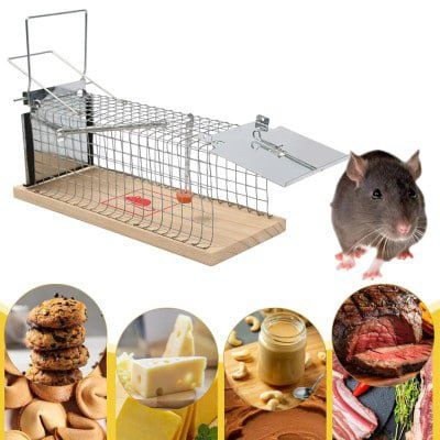 Живоловка 82×21×20 см. Гуманная ловушка для куниц, ласок, крыс, мышей