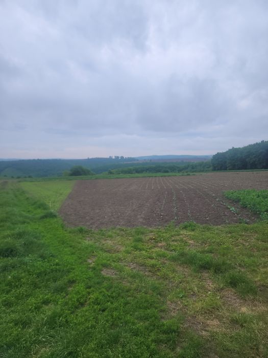 Будинок- дачу в мальовничому місці!