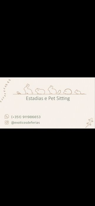 Estadias , pet sitting e dog walking
