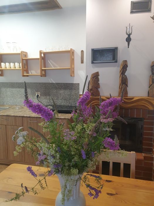 Bieszczady/Zalew Soliński/Polańczyk/ pokoje, domki, apar