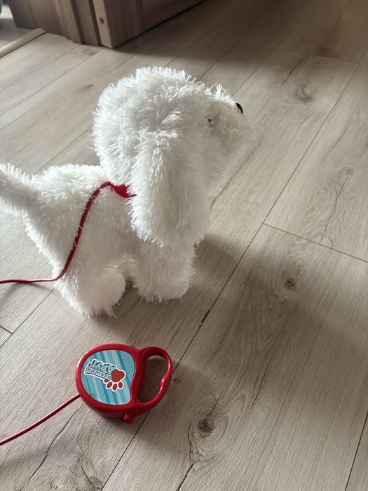 Собачка яка ходить гавкає на повідку