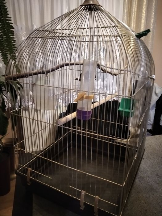 Klatka dla małej egzotyki