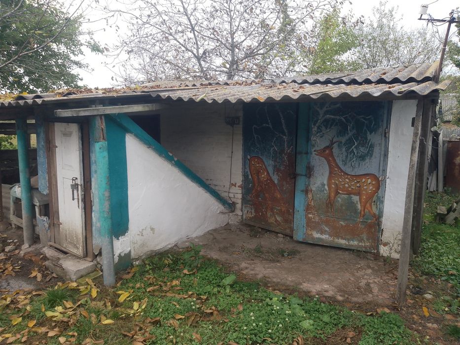 Продам будинок с.Сатанівка