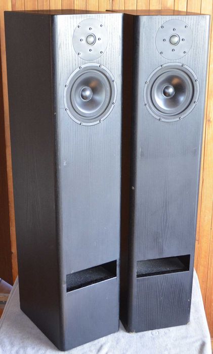 TMR 2a Berlin Bi-Wire Kolumny podłogowe  z lat `80-tych Audiofilskie Dwudrożne