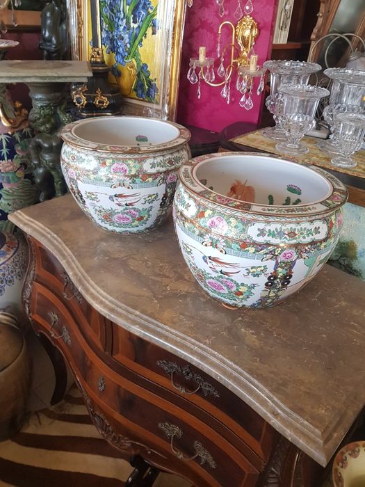 Par de Cachepos, aquários