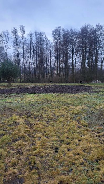 Działka Przypki koło Tarczyna dzierżawa wynajem - Widok 2