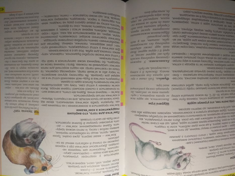 Энциклопедия для мальчиков