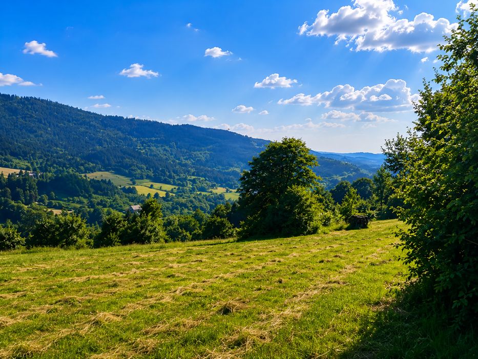 Kompleks działek 2,6 ha – południowy stok, panorama Tatr – Tenczyn