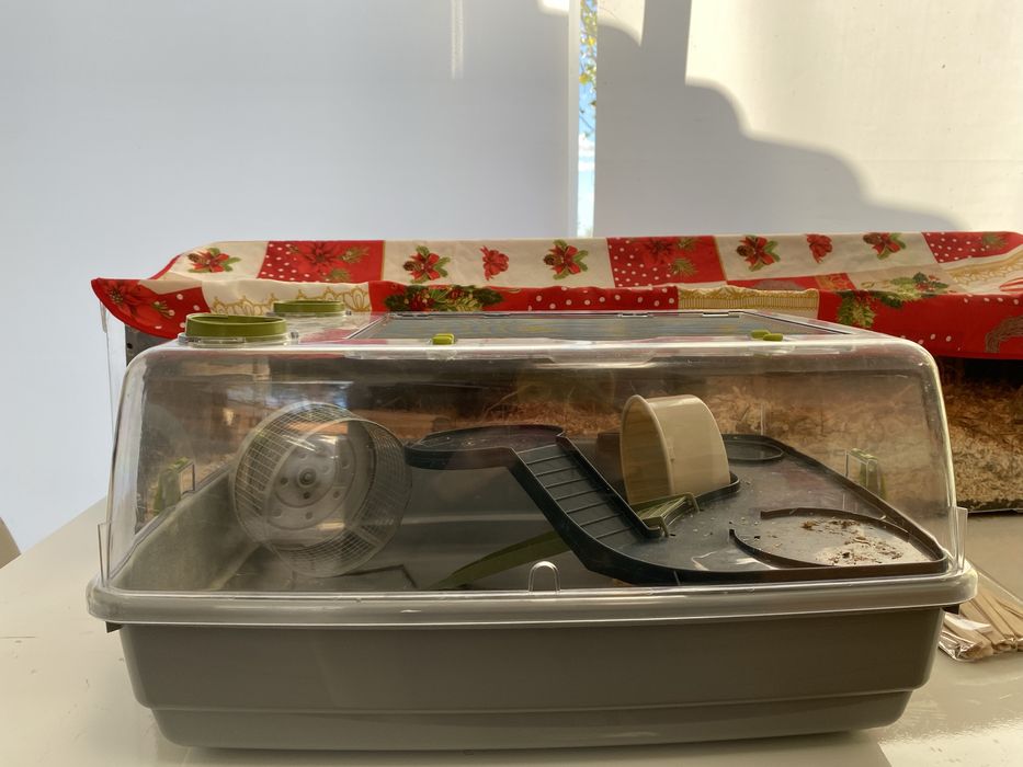 Gaiola Hamster Com 1 mes de uso