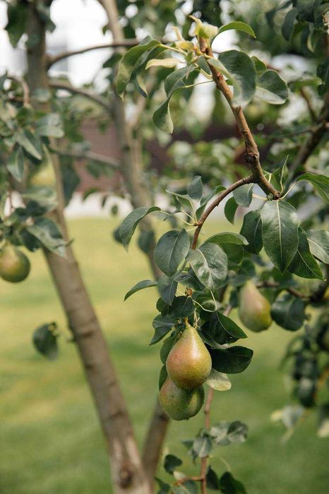 Продаєтсья преміум high-tech будинок з власним бункером/Заходь і живи