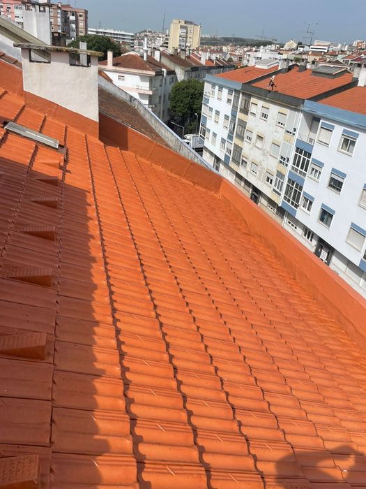 Lavagem de telhado e limpeza de algerozes  " Visita técnica grátis "