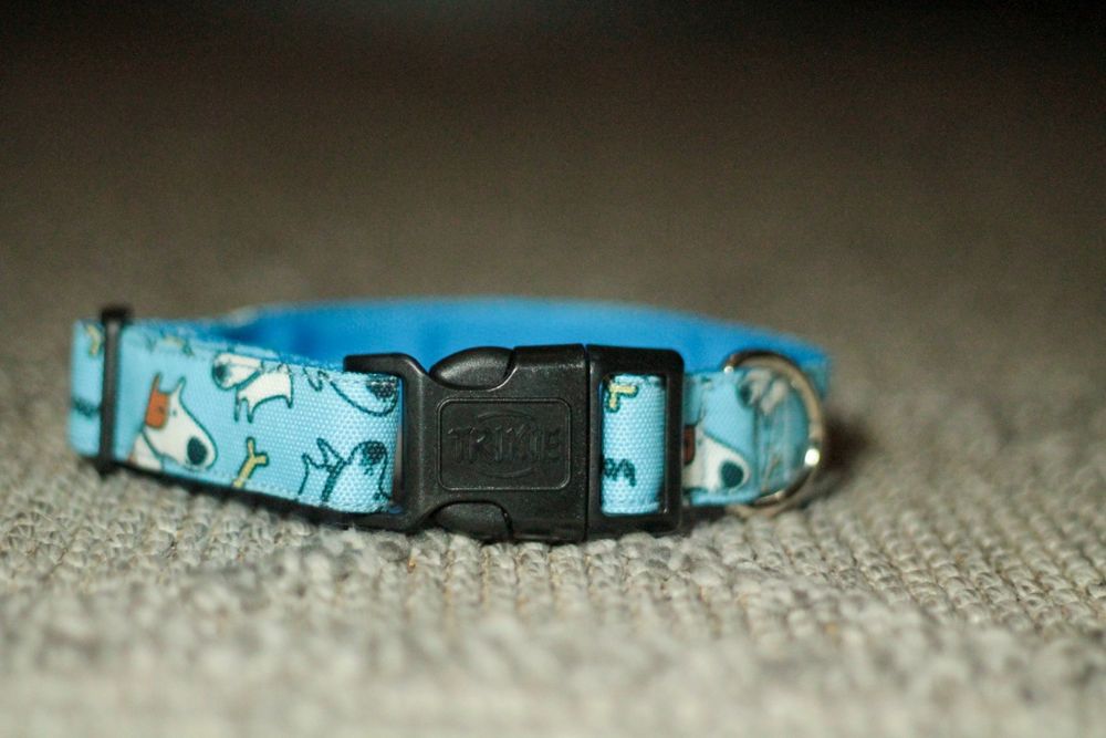 Нюхальний килимок і ошейники для собак