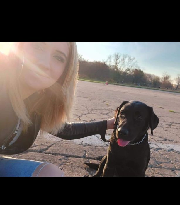 Spacery i opieka nad psem