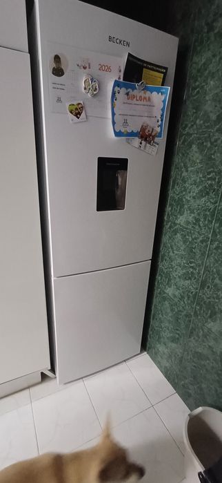 Frigorífico Becken - 6 meses de uso