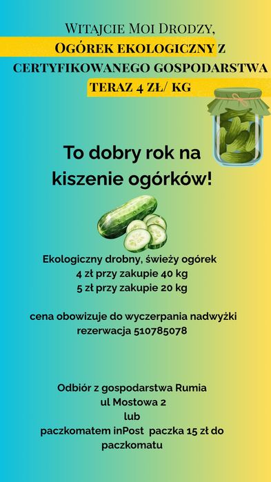 Ogórki ekologiczne