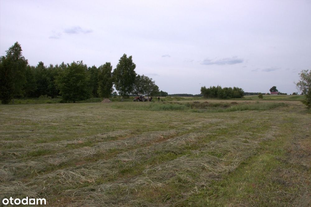 Zdjęcie 3