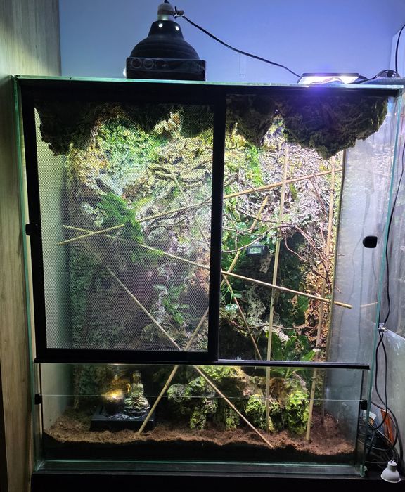 Terrarium dla gekona kameleona jaszczurki agamy terra wodospad