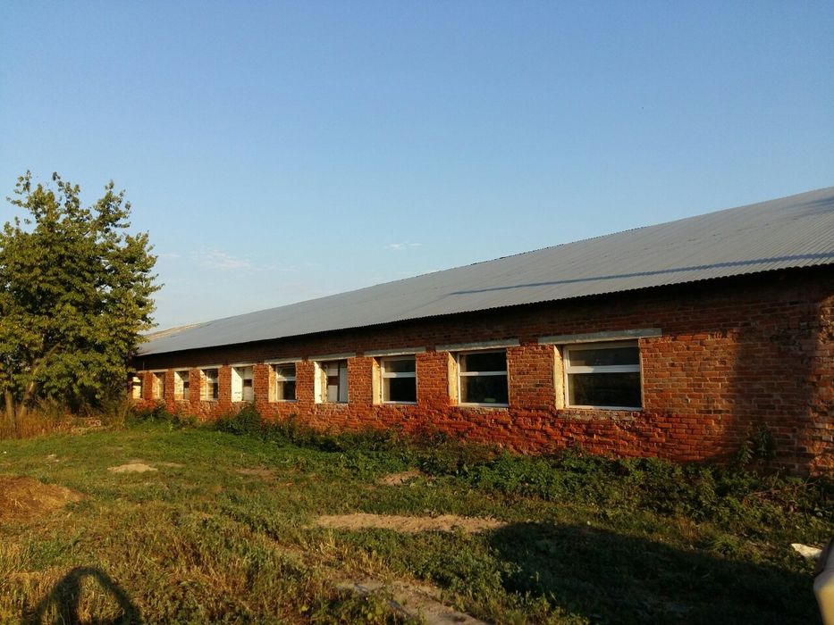 фермы владимира. агротуристический комплекс богдарня. ферма медовое цех. двухскатная ферма из профильной трубы. фермы владимира.