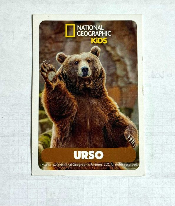 3 Cartas National Geographic Kids - Tigre & Urso