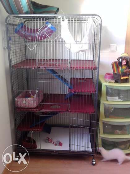Gaiola nova furão ou chinchila de 4 Pisos