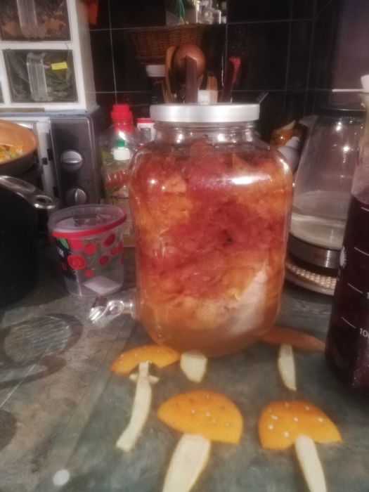 pigwa swieza na nalewke styczen