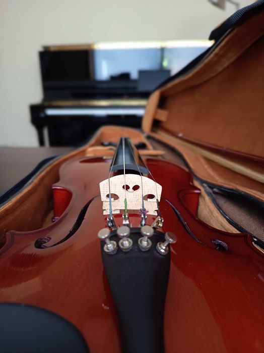 Violino Corina 3/4
