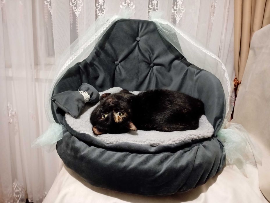 Лежаночки для тварин