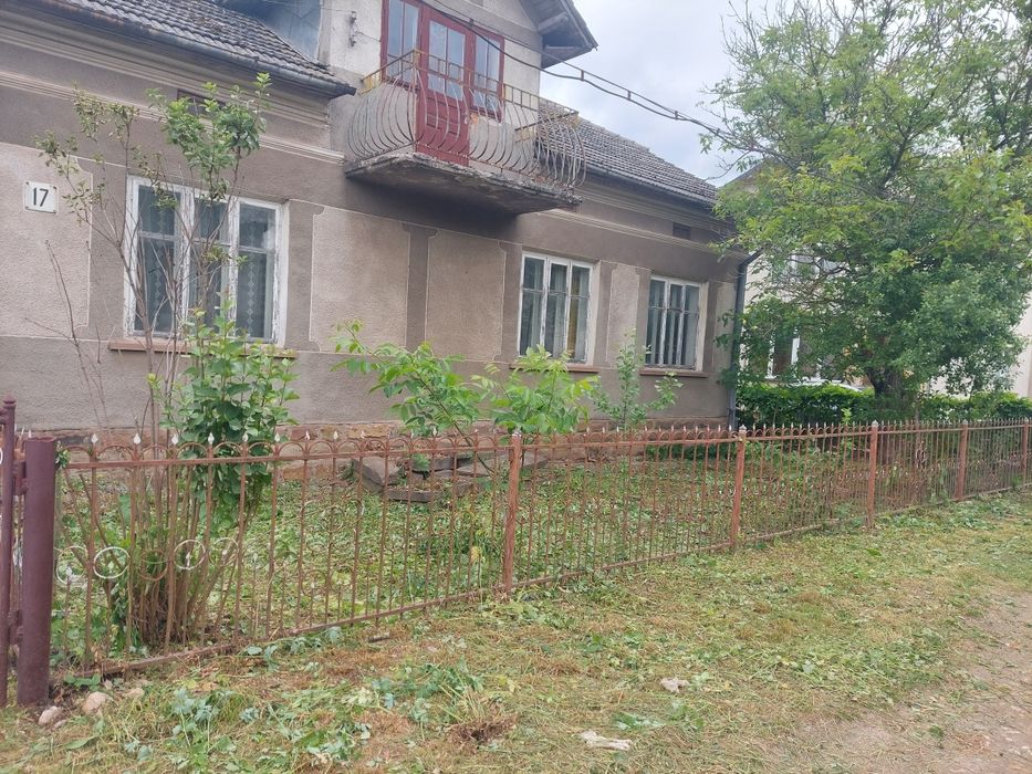 Косіння трави, професійна чистка ділянки від  чагарників