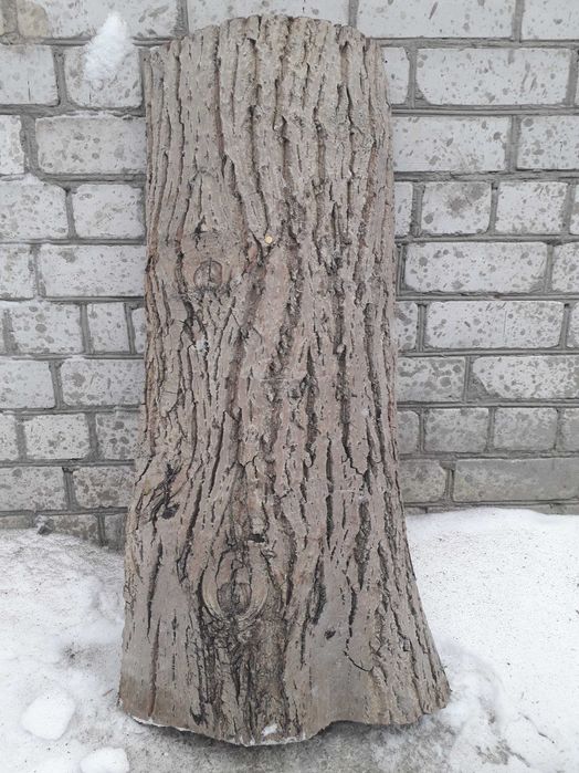 Слеб дошка горіха