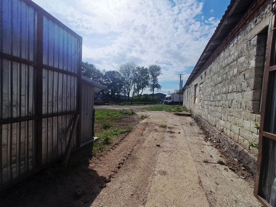 Продаж комерційного приміщення, с. Грабовець, 450 м²