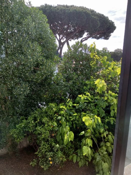 Quarto individual em São João do Estoril do Estoril