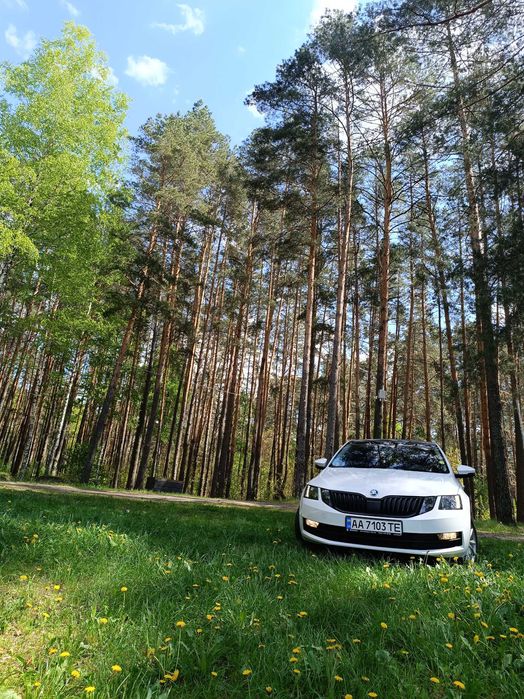 Шкода Октавиа А7