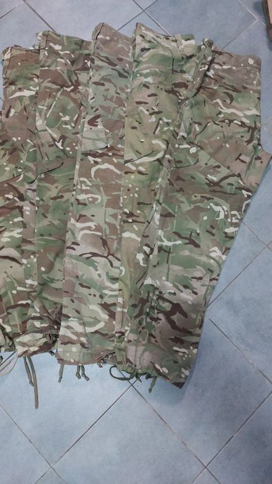 Мультикам британка