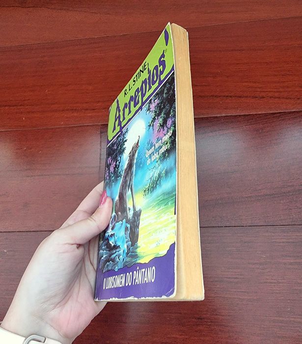 Livro "Arrepios - O Lobisomem do Pântano" Vol. 6 de R. L. Stine