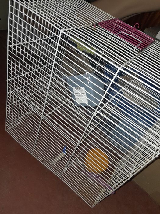 Здорова клітка для гризунів