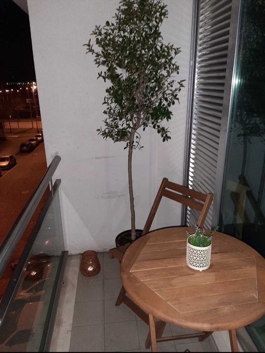 Conjunto dobrável de mesa e 2 cadeira em madeira