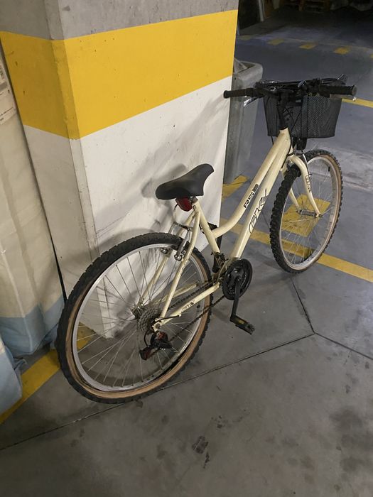 Bicicleta pasteleira