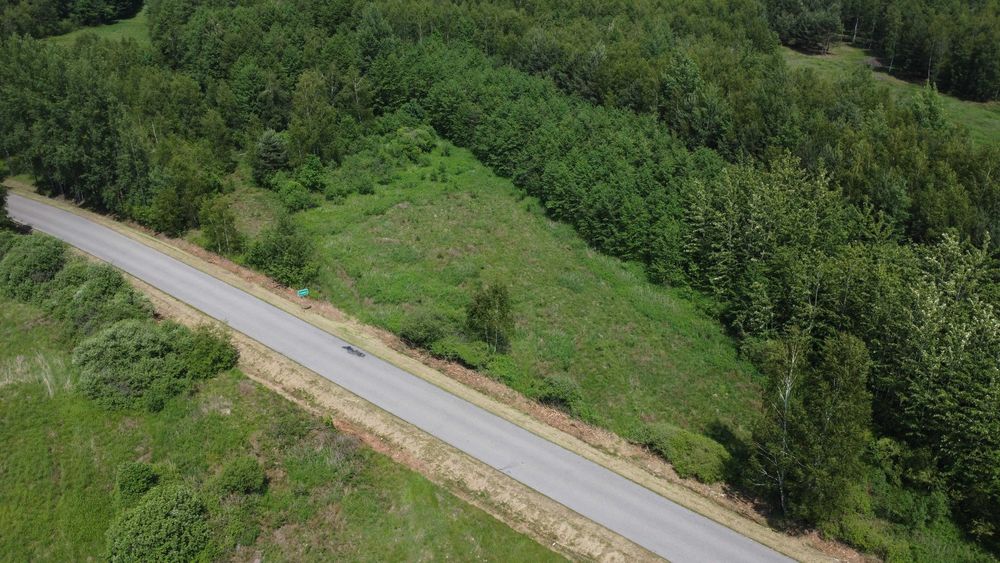 Działka 48,16ar w Czarnej Sędziszowskiej na sprzedaż - WZ - Widok 3