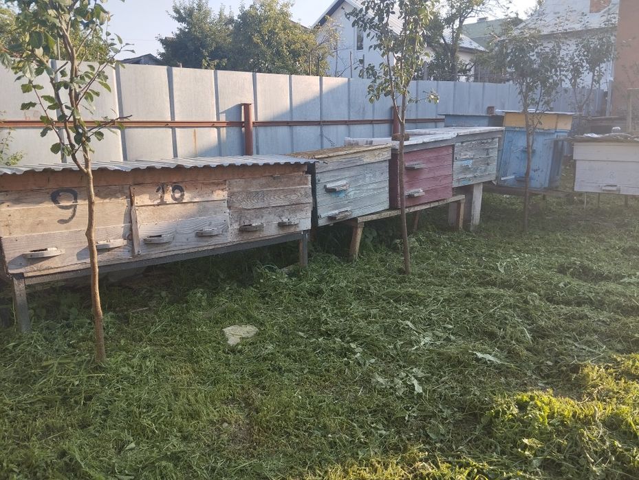 Вулики лежаки. 10шт.дадан.