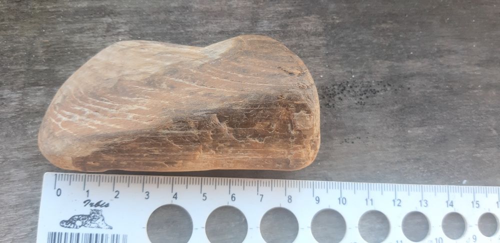 Скам'янілий кусок дерева.