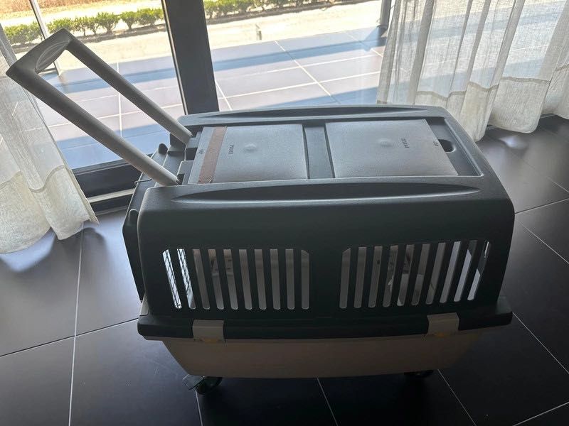 Transportadora de animais