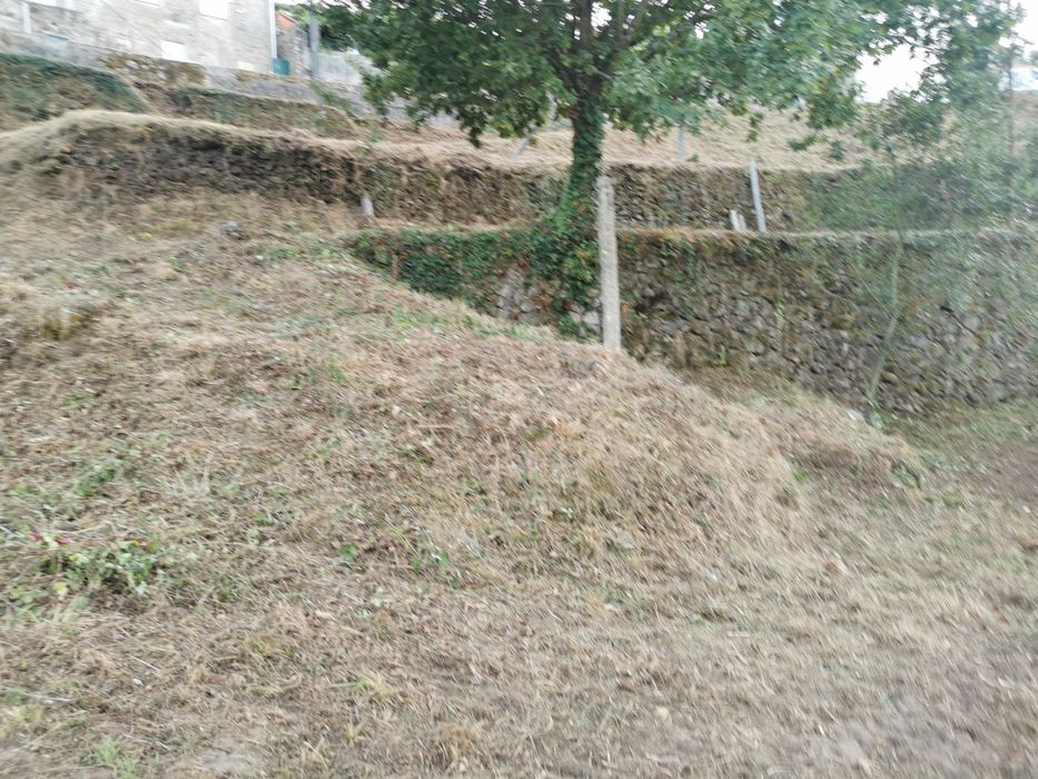 Terreno Quinta Vale Cambra Costa Anelha 0,5HA