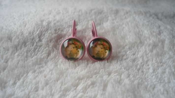 Kolczyki świnka morska