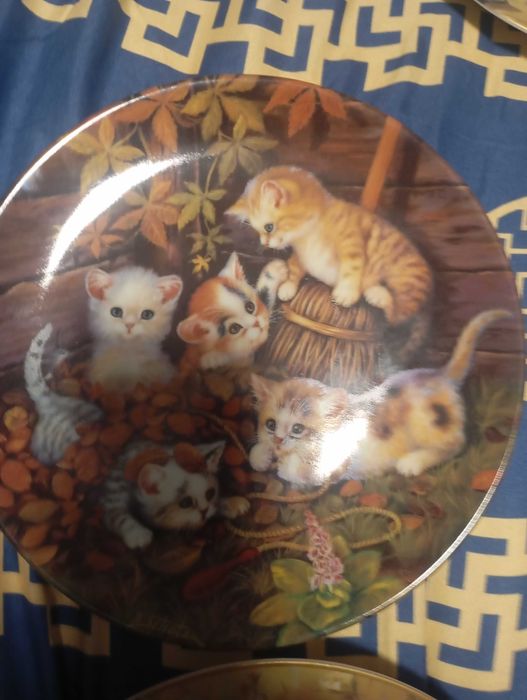 Talerze porcelana koty kolekcjonerskie 5 szt.