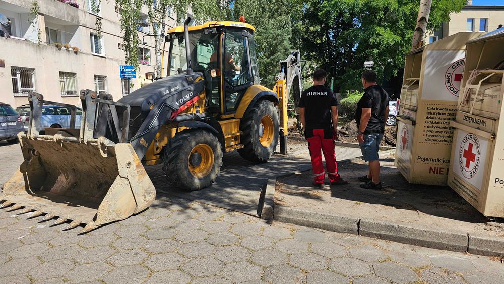 Wycinka drzew Poznań i okolice