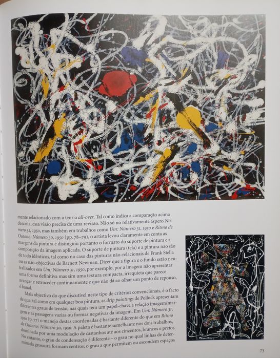 Jackson Pollock  - Mo limite da pintura